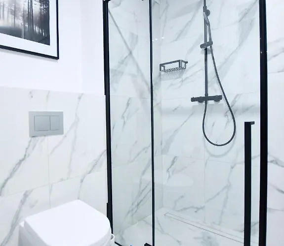 Bialy Dom Apartment *