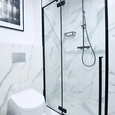 Bialy Dom Apartment *